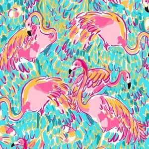 Meet your Posher, Meredith